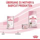 Bild von Royal Canin Kitten-Produkten: Babycat Milk Dose, Mother & Babycat Dose und Trockenfutterbeutel, mit dem Text "ÜBERGANG ZU MOTHER & BABYCAT PRODUKTEN".