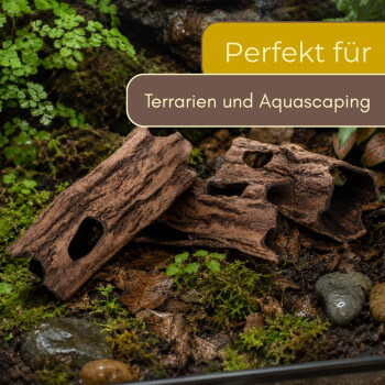 Hohles Korkrinden-Terrariendekor auf moosigem Substrat mit Einblendtext 'Perfekt für Terrarien und Aquascaping'.