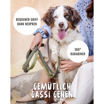 Flauschiger Hund mit grüner Neopren-Leine und 360°-Karabiner, gehalten vom Besitzer; sichtbarer deutscher Text: 'Bequemer Griff...', '360° Karabiner', 'Gemütlich Gassi Gehen'.