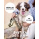Flauschiger Hund mit grüner Neopren-Leine und 360°-Karabiner, gehalten vom Besitzer; sichtbarer deutscher Text: 'Bequemer Griff...', '360° Karabiner', 'Gemütlich Gassi Gehen'.
