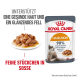 Royal Canin Hair & Skin Katzenfutterbeutel mit Nassfutter, das die Haut- und Fellgesundheit hervorhebt und 90% Besitzerzufriedenheit nach 3 Wochen.