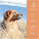 Infografik zu Fütterungsrichtlinien für Hunde nach Gewicht und Alter, mit dem Satz "MICH KANNST DU EINFACH VERFÜTTERN" und Ernährungstipps.