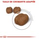 Image de trois morceaux de croquettes pour animaux, avec le texte "TAILLE DE CROQUETTE ADAPTÉE" affiché en évidence au-dessus.