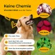 Golden Retriever, der im Freien lächelt, mit Text, der natürliche Haustierprodukte bewirbt, einschließlich der Vorteile von Knoblauch, Rote Beete und Brennnessel.
