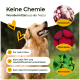 Golden Retriever, der im Freien lächelt, mit Text, der natürliche Haustierprodukte bewirbt, einschließlich der Vorteile von Knoblauch, Rote Beete und Brennnessel.