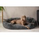 Ein brauner Hund, der auf einem plüschigen, runden grauen Hundebett in einer gemütlichen Innenumgebung entspannt, mit einer Pflanze und einem dunklen Sofa im Hintergrund.