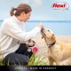 A woman in a white sweater kneels on a beach with a golden retriever on a red leash, against a calm sea and blue sky.