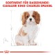 Cavalier King Charles Spaniel Welpe mit einem weißen und tanfarbenen Fell, mit dem Text 'SORTIMENT FÜR RASSEHUNDE: CAVALIER KING CHARLES SPANIEL.'