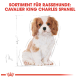 Cavalier King Charles Spaniel Welpe mit einem weißen und tanfarbenen Fell, mit dem Text 'SORTIMENT FÜR RASSEHUNDE: CAVALIER KING CHARLES SPANIEL.'