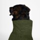 Ein Dobermann trägt einen gemütlichen olivgrünen Fleece-Hundemantel, sitzt aufrecht und schaut nach oben vor einem schlichten weißen Hintergrund.
