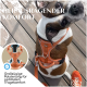 Ein brauner und weißer Hund in einem orangefarbenen Geschirr sitzt auf Holzdecks, mit Text über Sicherheits- und Komfortmerkmale.