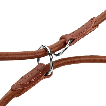 Nahaufnahme einer braunen Leder-Hundeleine mit verchromten Ringen und genähten Lederakzenten.