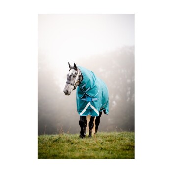 Ein graues Pferd mit einer türkisfarbenen Decke steht auf einem nebligen Feld und zeigt sein glattes Fell und sein ruhiges Wesen.