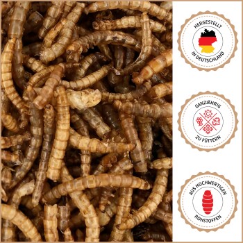 Nahaufnahme von getrockneten Mehlwürmern mit deutschen Textabzeichen „Made in Germany“, „Ganzjährig füttern“ und „Aus hochwertigen Rohstoffen“.