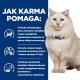 Puszysty biały pies stoi na niebieskim tle z tekstem szczegółowo opisującym, jak karma pomaga zmniejszyć stres i rozpuszczać kamienie struwitowe.