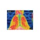 Thermografisches Bild, das die Körpertemperatur eines Haustieres zeigt, mit Farbverläufen, die die Wärmegrade anzeigen; Temperaturmessungen sind an den Seiten dargestellt.
