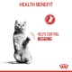 A gray cat standing on its hind legs, with the text "HEALTH BENEFIT" and "HELPS CONTROL BEGGING" in red.