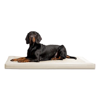 CARLOS Velours-Kunstleder Hundematratze creme 80 cm, 6 cm, 60 cm