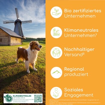 Hund steht auf Gras neben einer Windmühle mit Text, der umweltfreundliche Geschäftspraktiken auf Deutsch hervorhebt.
