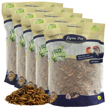 Fünf Beutel Lyra Pet Nature Power getrocknete Mehlwürmer mit einem Haufen Mehlwürmer davor, gekennzeichnet mit 100 % natürlich und hohem Proteingehalt.