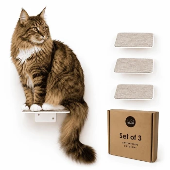 Eine getigerte Katze sitzt auf einem kleinen weißen Regal, das an einer Wand montiert ist, mit zwei zusätzlichen grauen Plattformen darunter, vor einem weißen Hintergrund.