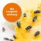 Nahaufnahme von mehreren Fliegen auf einem Stück gelbem Futter, mit einem orangefarbenen Kreis, der den Text "Mit Langzeitwirkung" enthält.