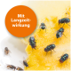 Nahaufnahme von mehreren Fliegen auf einem Stück gelbem Futter, mit einem orangefarbenen Kreis, der den Text "Mit Langzeitwirkung" enthält.