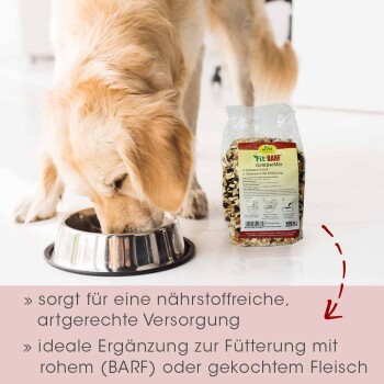 Ein Hund frisst aus einer Metallschüssel neben einem Beutel "Fit-BARF GemüseMix", der die ernährungsphysiologischen Vorteile für rohe oder gekochte Fleischdiäten bewirbt.