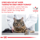 Eine getigerte Katze auf einem Tisch mit einer Hand des Tierarztes auf ihrem Rücken. Text: 'Sprechen Sie mit Ihrem Tierarzt über das richtige ROYAL CANIN Futter für Ihre Katze.'