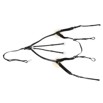 Schwarzes Haustiergeschirr mit weicher Polsterung, mit mehreren verstellbaren Riemen und Clips für eine sichere Passform.