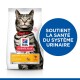 Sac de nourriture pour chats Hill's Science Plan avec un chat tigré portant un collier rouge. Le texte met en avant "Santé Urinaire" et "Soutient la santé de l'ensemble du système urinaire."