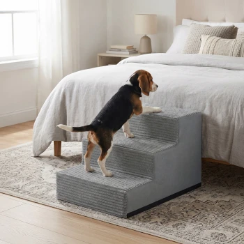Beagle-Welpe klettert eine graue Haustiertreppe mit drei Stufen zum Bett in einem neutral eingerichteten Schlafzimmer mit Teppich und Nachttisch.