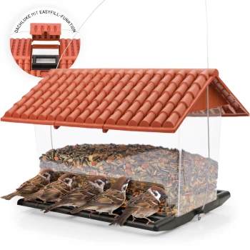 Ein Vogelhaus mit rotem Ziegeldach, gefüllt mit Samen, und fünf Spatzen, die auf dem Futterteller sitzen.