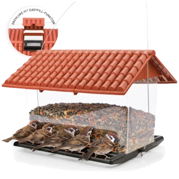 Ein Vogelhaus mit rotem Ziegeldach, gefüllt mit Samen, und fünf Spatzen, die auf dem Futterteller sitzen.