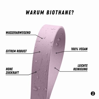 Ein brauner Hund steht auf einer Holzbrücke und trägt ein pinkes und lila Geschirr mit einer passenden Leine.