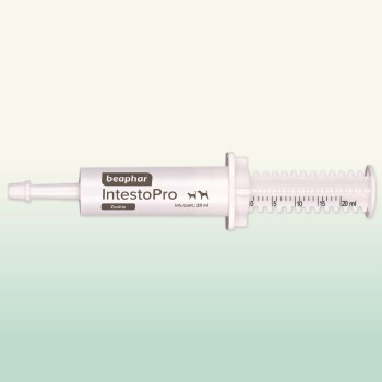 Beaphar IntestoPro Spritze für Haustiere, enthält 20 ml Zeolith, mit Messmarkierungen für die Dosierung.