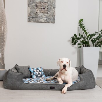 Großer weißer Hund liegt auf einem grauen Haustierbett mit einem blau-grau gemusterten geometrischen Kissen in einem modernen Raum.