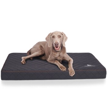 Orthopädische Hundematte Juna aus laser-gestepptem Kunstleder schwarz XXL