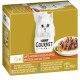 Pudełko karmy dla kotów Purina Gourmet Gold z puszystym białym kotem na froncie, z talerzem delikatnego mięsa w sosie i warzywami.