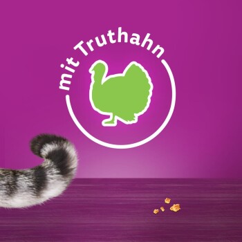Das Bild zeigt den gestreiften Schwanz einer Katze auf der linken Seite, mit einer grünen Truthahnsilhouette und dem Text 'mit Truthahn' auf einem lila Hintergrund.