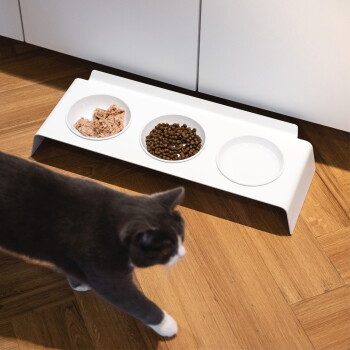 Weißer erhöhter Dreifach-Katzennapf mit Nassfutter, Trockenfutter und Wasser auf Holzfußboden; grau-weiße Katze läuft vorbei