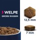 Grain Free* Szczenięta dużych ras, ryby oceaniczne 12 kg