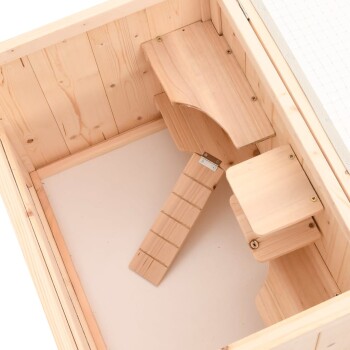Holzgehege für Haustiere mit einer Rampe, Plattform und glatten Wänden, entworfen für kleine Tiere.