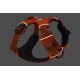 Orangenes Hundegeschirr mit schwarzer Polsterung und reflektierenden Akzenten, mit verstellbaren Riemen und einem stabilen Metall-D-Ring zur Leinenbefestigung.