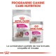 Emballage de nourriture pour chiens Royal Canin Exigent, avec un sac "MINI" et un sachet "ALL SIZES", promouvant la satisfaction pour les mangeurs difficiles.