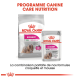 Emballage de nourriture pour chiens Royal Canin Exigent, avec un sac "MINI" et un sachet "ALL SIZES", promouvant la satisfaction pour les mangeurs difficiles.