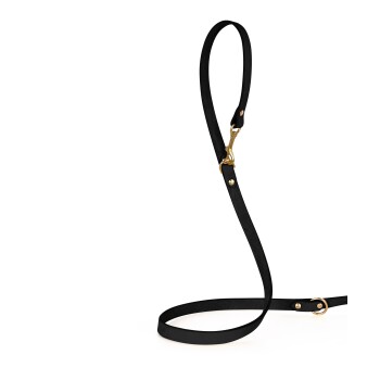 Schwarze Haustierleine mit einem goldenen Clip und Hardware, mit einem eleganten Design und glatter Textur.