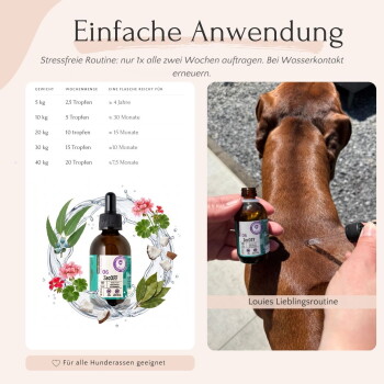Flasche mit natürlichem Haustier-Nahrungsergänzungsmittel, gekennzeichnet mit "06 ZecOFF" und Ansprüchen an pflanzliche Formel, geeignet für alle Altersgruppen und Rassen, sowie abweisenden Inhaltsstoffen.