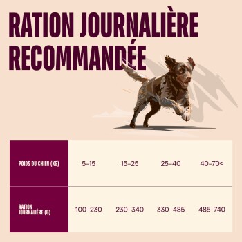 Chien en train de courir avec un tableau intitulé 'Ration journalière recommandée' montrant les plages de poids (kg) et de ration quotidienne (g).