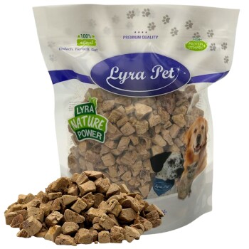 Lyra Pet Hundefuttersack mit einem Haufen brauner Kibble-Würfel, 'Lyra Nature Power'-Label und 'Lyra Pet'-Logo, Hundeabbildungen.